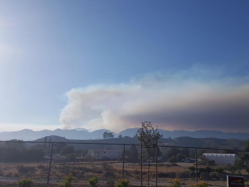 Waldbrände und extreme Hitze in Südkalifornien
