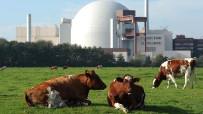 Schleswig-Holstein: Neues Lager für Atommüll am AKW Brokdorf geplant