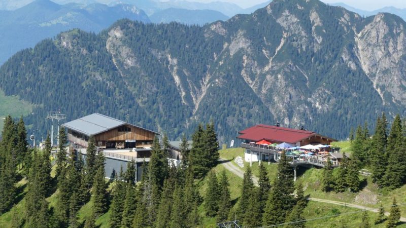 Sommerliche Fülle im Alpbachtal: Am Busen der Natur