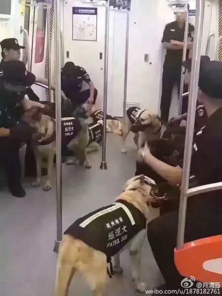 G20-Hangzhou-Sicherheitsmaßnahme-1