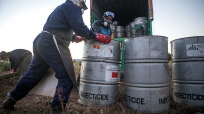 Chemie-Cocktails in Obst und Gemüse: Schwarze Liste der gefährlichsten Pestizide