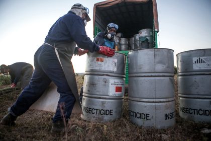 Chemie-Cocktails in Obst und Gemüse: Schwarze Liste der gefährlichsten Pestizide