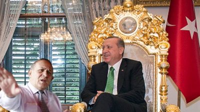 „Verpiss dich, Ungläubiger“ – Erdogan-Berater beleidigt Österreichs Bundeskanzler