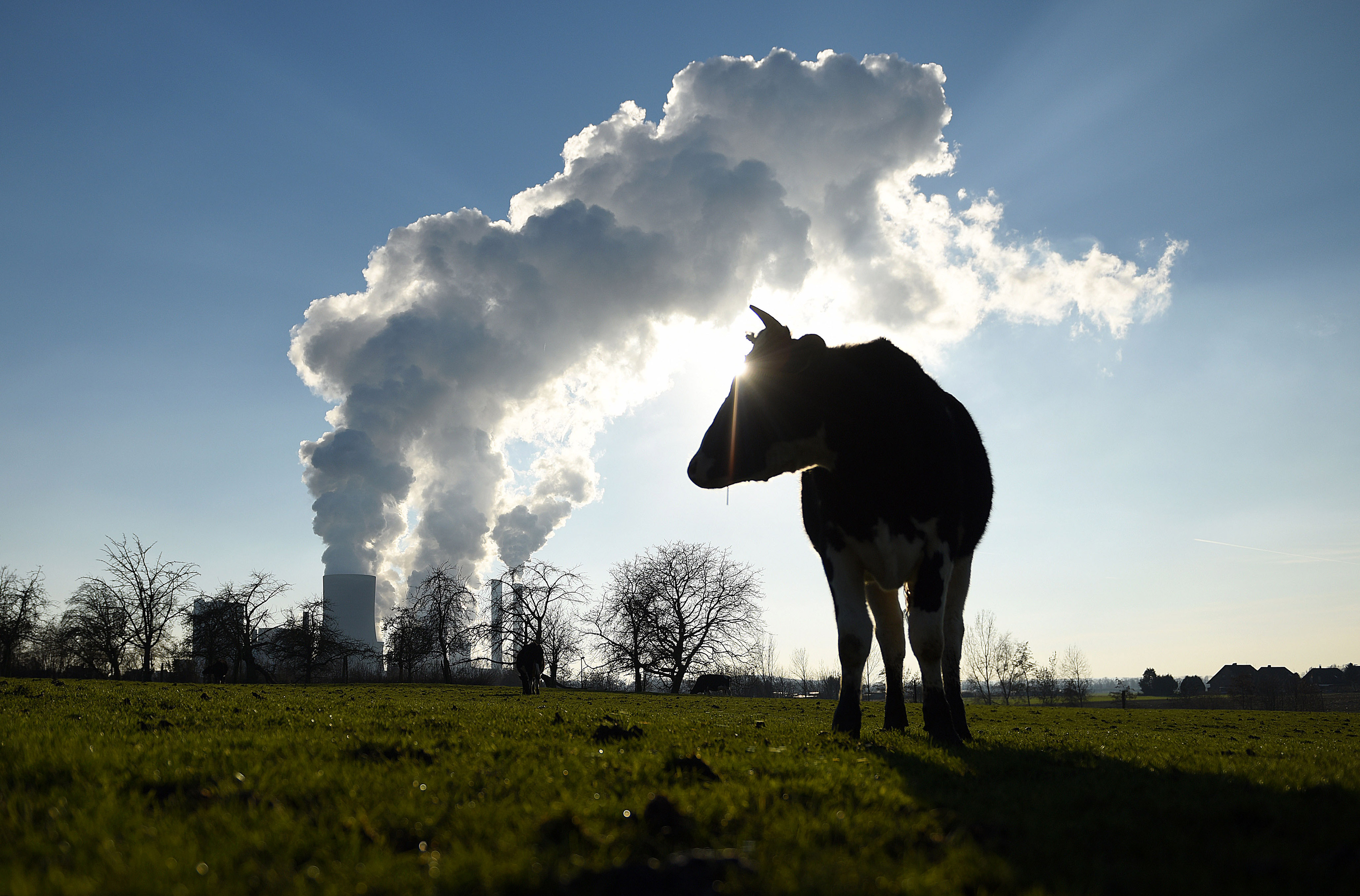 500 Mio. Euro mehr EU-Agrargelder jetzt in Umwelt-, Klima- und Tierschutz investieren
