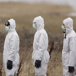 Wie ich darauf kam, dass die nächste Pandemie eine zoonotische aviäre Influenza sein könnte