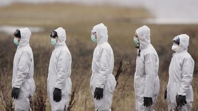 Wie ich darauf kam, dass die nächste Pandemie eine zoonotische aviäre Influenza sein könnte