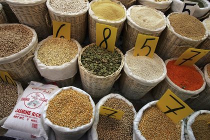 Internationales Jahr der Hülsenfrüchte: Bescheidene Früchte von großer Bedeutung