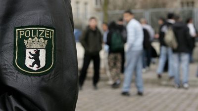 „Sie betrachten ihre Straße als ihr Herrschaftsgebiet“: Buschkowsky über Mob-Angriff auf Berliner Polizei