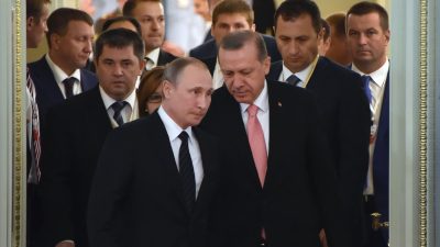 Handelsbeziehungen Russland-Türkei: Verzicht auf Dollar und Freihandelszone diskutiert