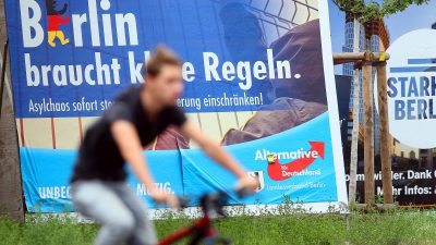 Menschen mit niedrigem Einkommen sympathisieren eher mit der Linkspartei als mit AfD