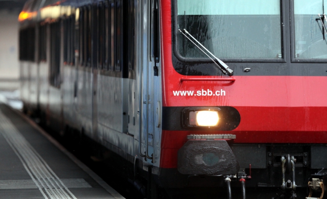 Messer-Attacke in Schweizer Regionalzug – 7 Verletzte