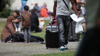 Arbeit für Flüchtlinge: DGB fordert mehr Initiative der Arbeitgeber