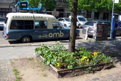 Urbanes Gärtnern: Mehr Grün mit bepflanzten Baumscheiben