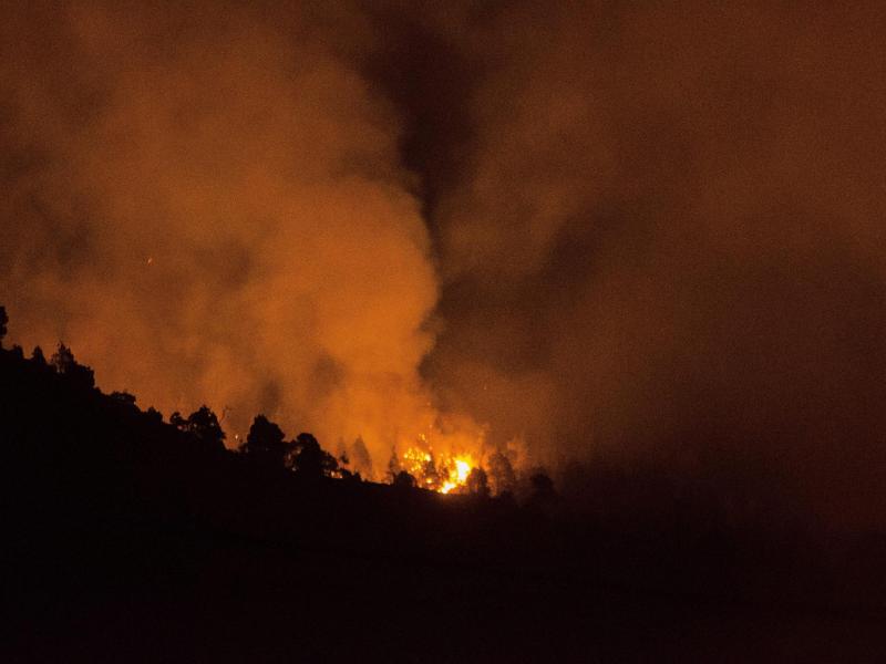 Waldbrand tobt auf Kanaren-Insel La Palma – Schlimmer Verdacht gegen Deutschen
