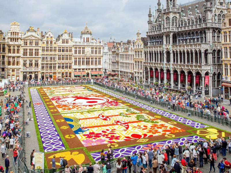 Gigantischer Blumenteppich schmückt Brüsseler Grand-Place