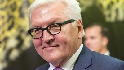 Steinmeier verurteilt Gas-Angriff in Aleppo