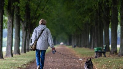 Vergewaltigung Ingolstadt: Rentnerin (60) beim Gassi-Gehen ins Gebüsch gezerrt – Polizei sucht zwei Unbekannte