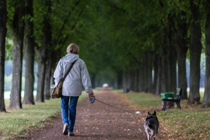 Vergewaltigung Ingolstadt: Rentnerin (60) beim Gassi-Gehen ins Gebüsch gezerrt – Polizei sucht zwei Unbekannte