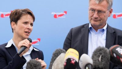 AfD-Konvent stimmt gegen Sonderparteitag