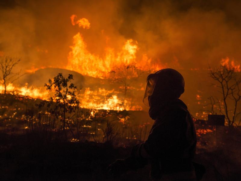 USA: Buschbrände in Kalifornien weiten sich aus