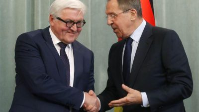 Steinmeier will mit Russland über Ukraine und Syrien beraten