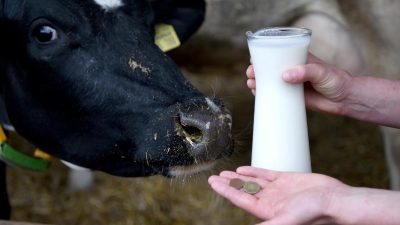 Niedrige Milchpreise: Bauern blockieren Lager von Discounter