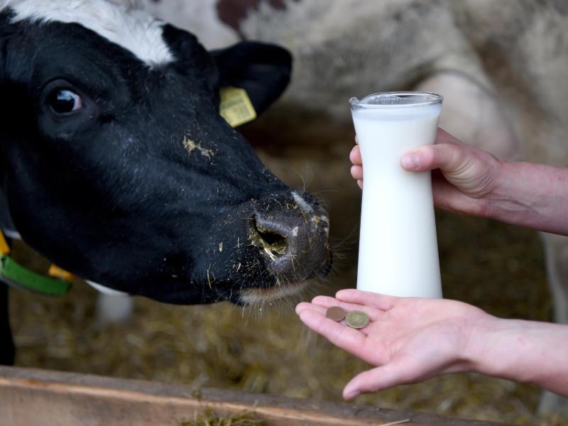 Niedrige Milchpreise: Bauern blockieren Lager von Discounter