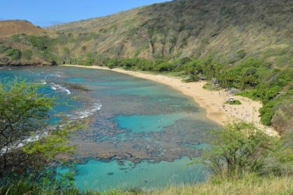 Obama schafft vor Hawaii größtes Meeresschutzgebiet der Welt