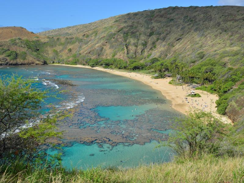 Obama schafft vor Hawaii größtes Meeresschutzgebiet der Welt