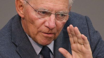 Schäuble nach Trump-Sieg besorgt über politisches Klima auch in Europa