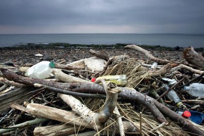 Auf unbewohnten Nordseeinseln: Plastikmüll aus dem Meer