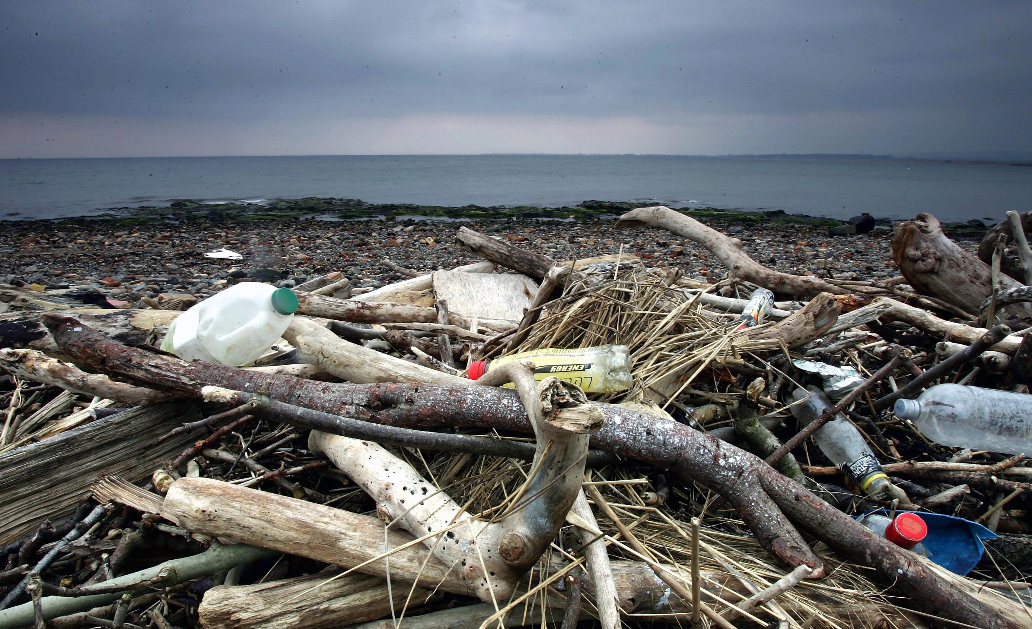 Auf unbewohnten Nordseeinseln: Plastikmüll aus dem Meer