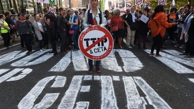 Umstrittenes Handelsabkommen Ceta auf Prüfstand der Verfassungshüter