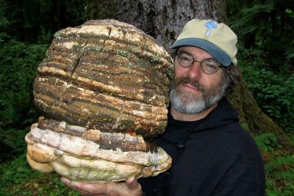 Ein Patent, das Monsanto vernichten und die Welt verändern könnte