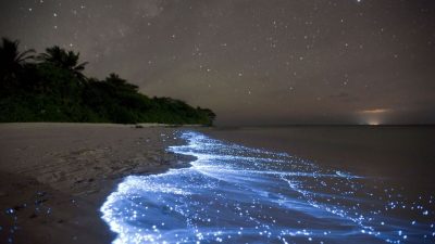 Wärst Du nicht auch gerne an diesem Strand? Als ob die Milchstraße unter Deinen Füßen leuchtet…