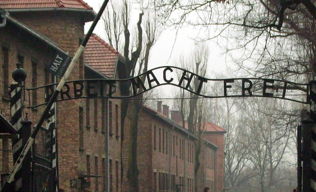 Holocaust-Leugnung: Ex-NRW-Verfassungsrichter will konsequente Ahndung