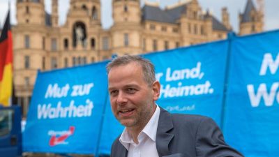 Er will Merkel im eigenen Wahlkreis schlagen – AfD-Mann Holm: „Das würde auf jeden Fall Spaß machen“