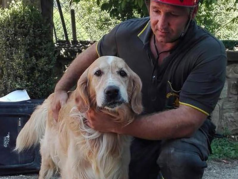 Italien: Hund zehn Tage nach Beben lebend aus den Erdbeben-Trümmern gerettet