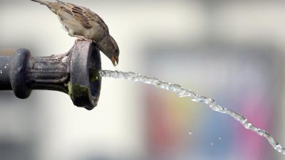 Weltwasserforum: Naturnahe Lösungen gegen Wasserkrise gesucht