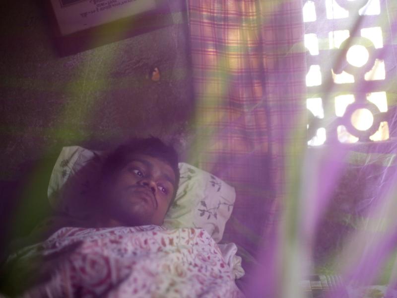 Neu Delhi: Deutlich mehr Fälle von Dengue-Fieber