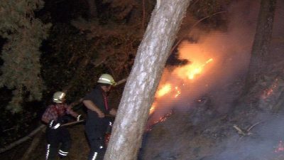 Waldbrand im Harz bei Langenstein – Probleme mit der Wasserversorgung