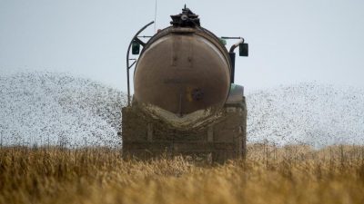 Nitrat-Tricks: Bald wieder Bauernproteste auch in Deutschland