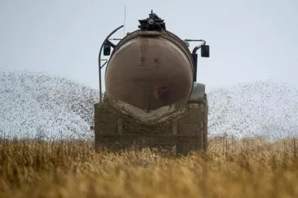 Nitrat-Tricks: Bald wieder Bauernproteste auch in Deutschland