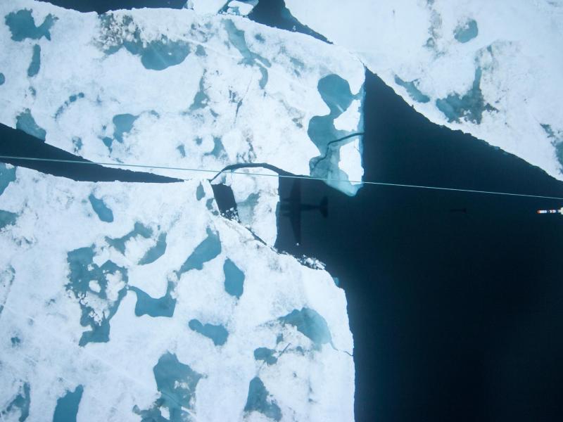 Meereis in Arktis taut erstmals bis zum Nordpol
