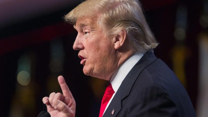 „Trump wird US-Präsident“: Professor, der nie irrte, fand 13 Punkte, die dafür sprechen