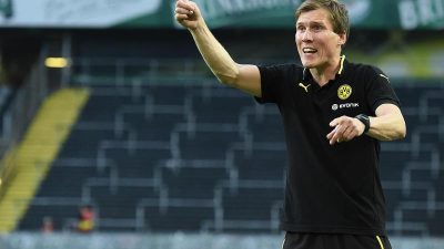 Über Arbeit zum Aufstieg: Neuer Coach beginnt beim VfB