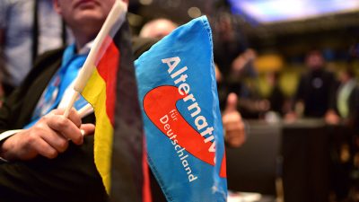 Landeschefs der AfD fordern in gemeinsamem Appell Ende der Streitigkeiten