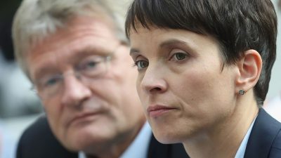 Insa-Meinungstrend: AfD verliert bundesweit an Zustimmung