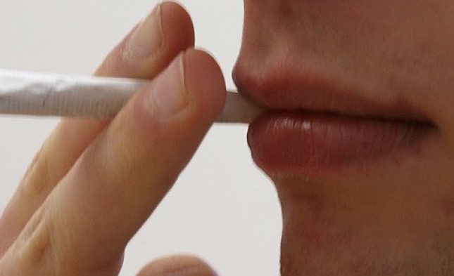 Künast fordert unabhängiges Kontrollsystem gegen Zigarettenschmuggel