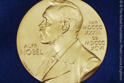 Nobelpreis für Medizin geht an japanischen Zellforscher
